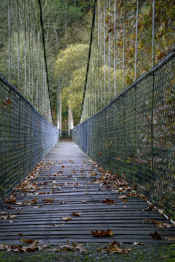 How do you select the correct suspension springs for a British car tailored for city driving?